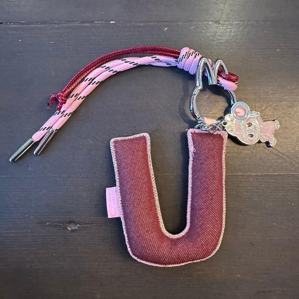 💜✨ Pop Mart Labubu “THE MONSTERS” – Pin for Love U Letter Pendant Keychain ✨💜